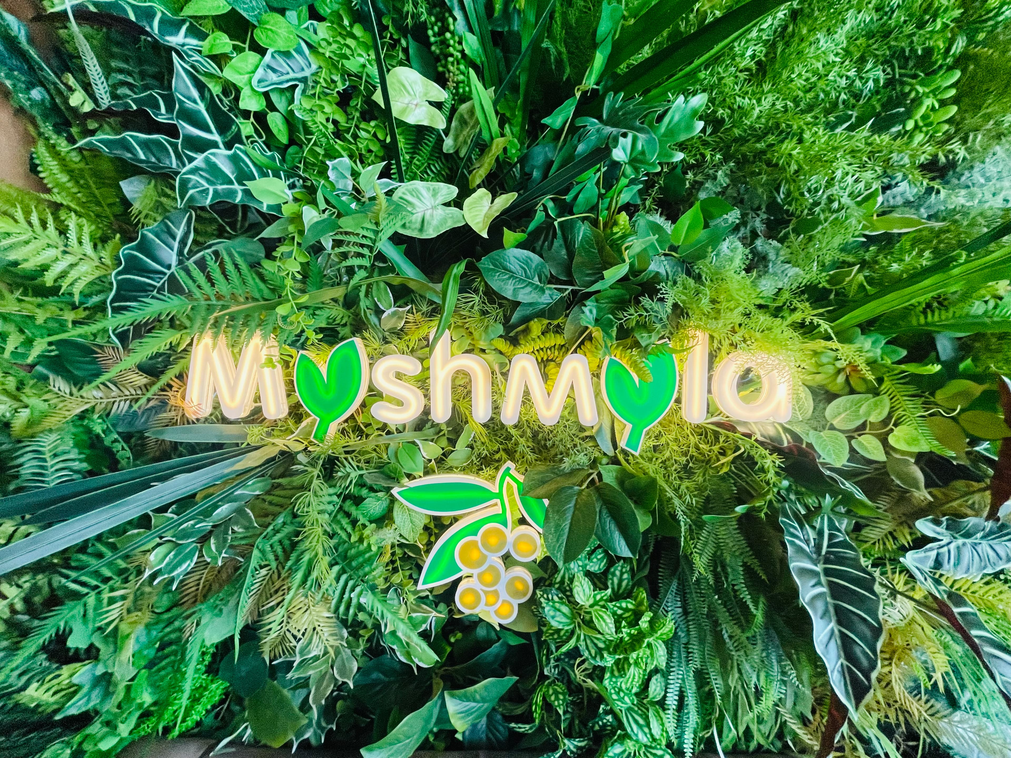 Муshмула