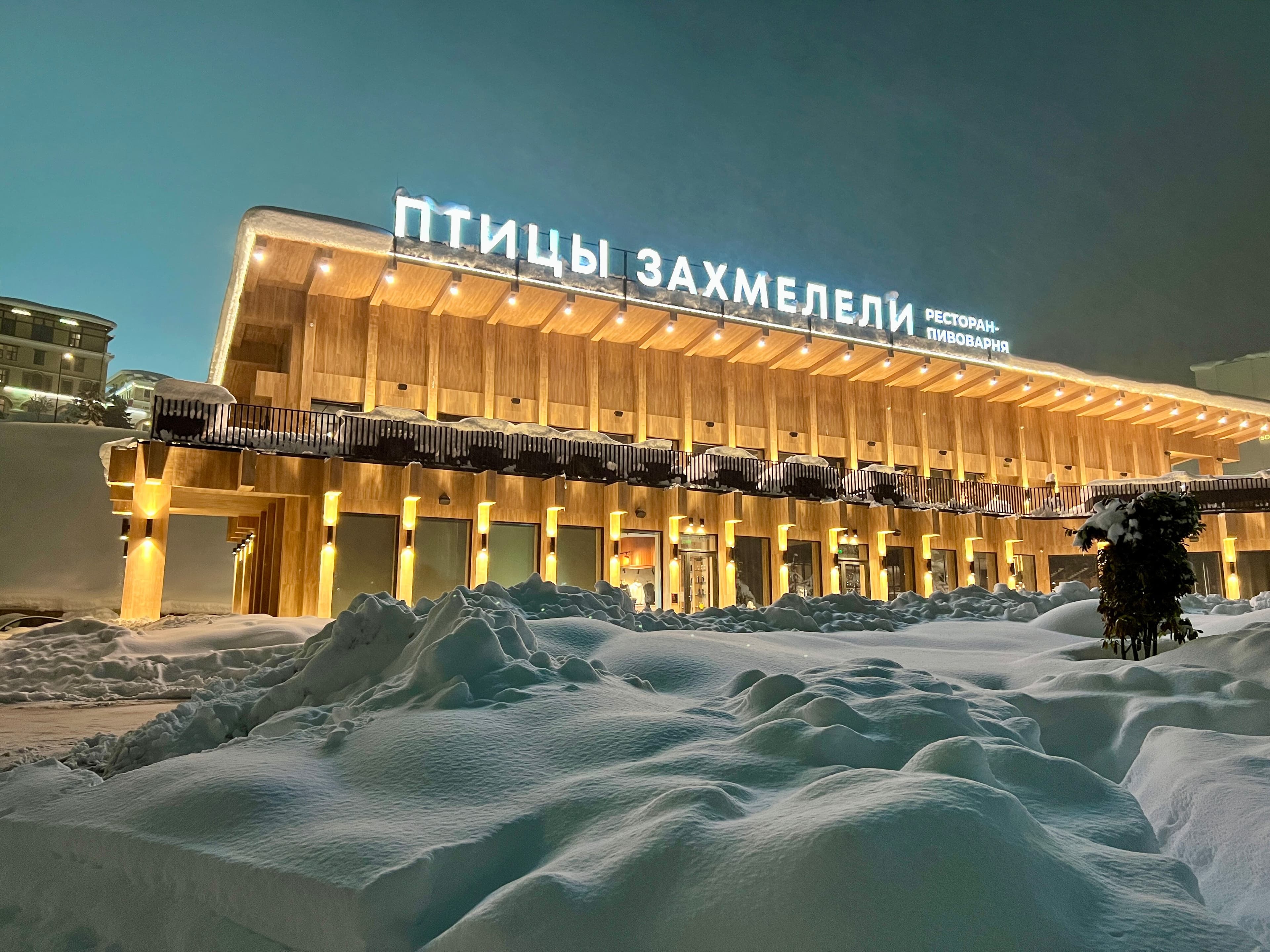 Птицы захмелели