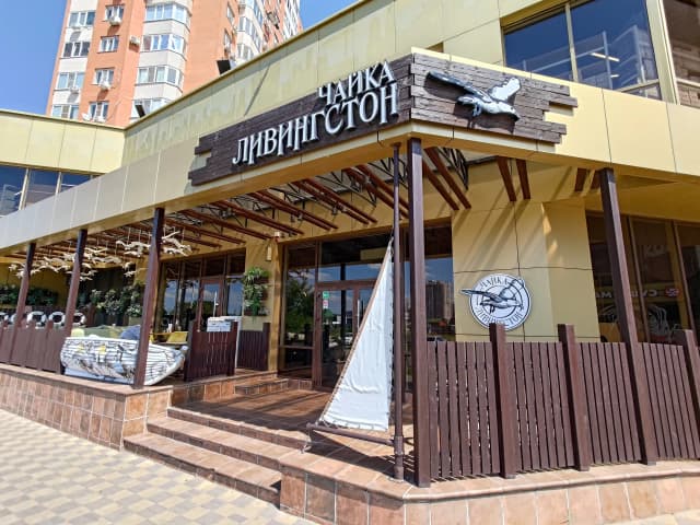 Чайка Ливингстон
