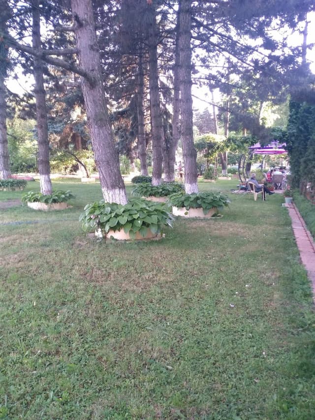 Тамерис