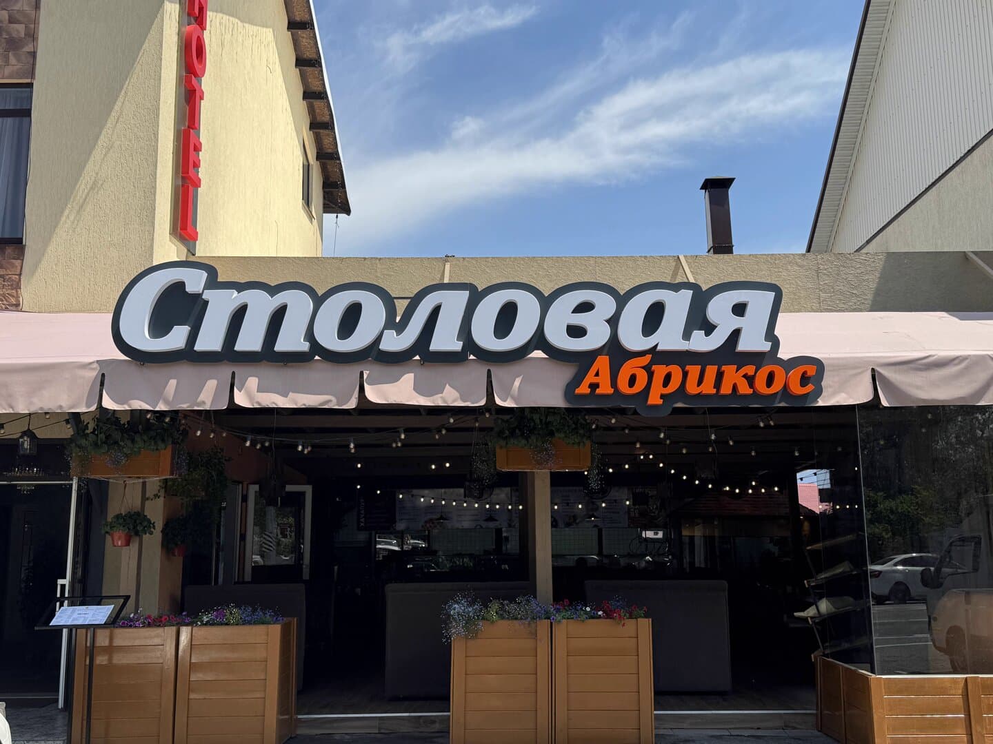 Абрикос
