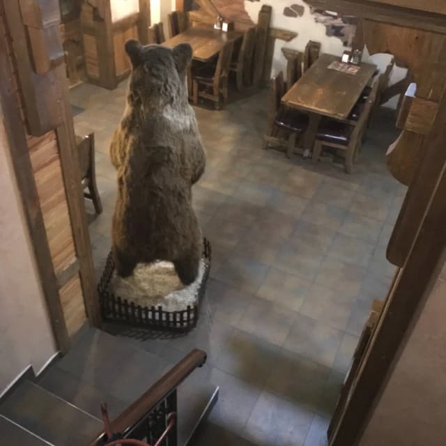 Золотое Руно