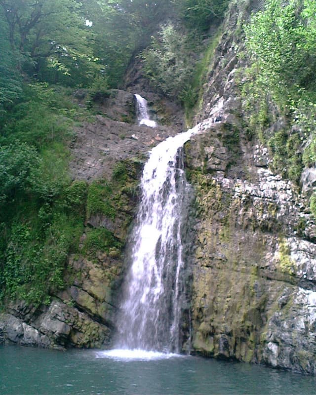 Дарина