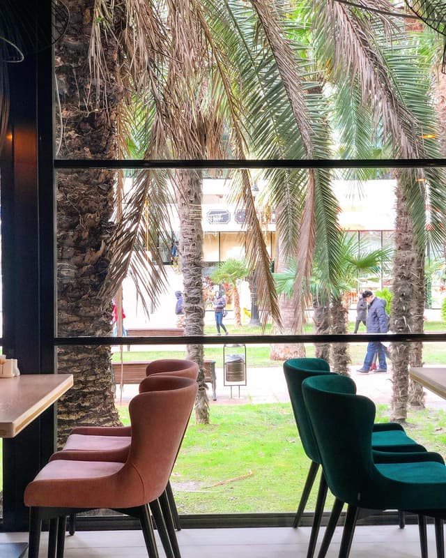 Palm Cafe