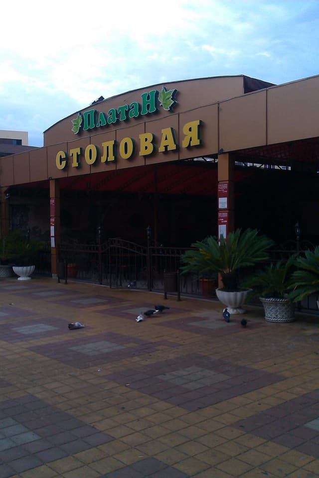 Платан