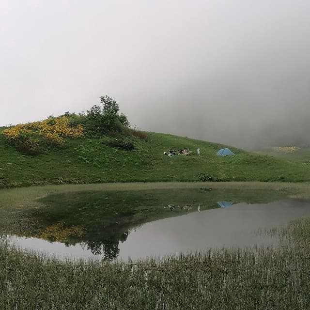 РИСочи