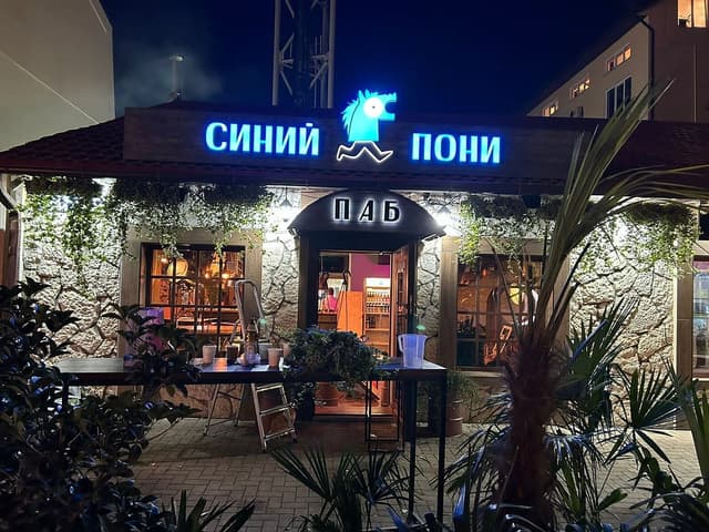 Синий Пони