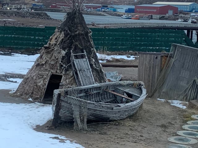 Полярный кит