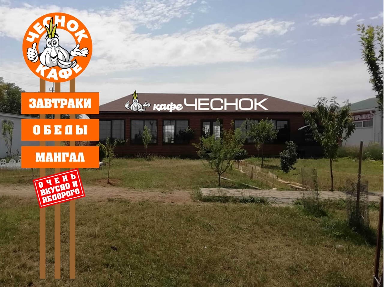 Чеснок