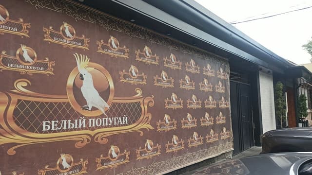Белый попугай