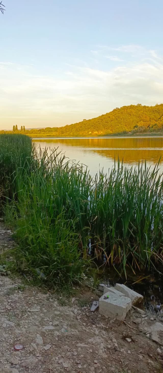 Раевское городище
