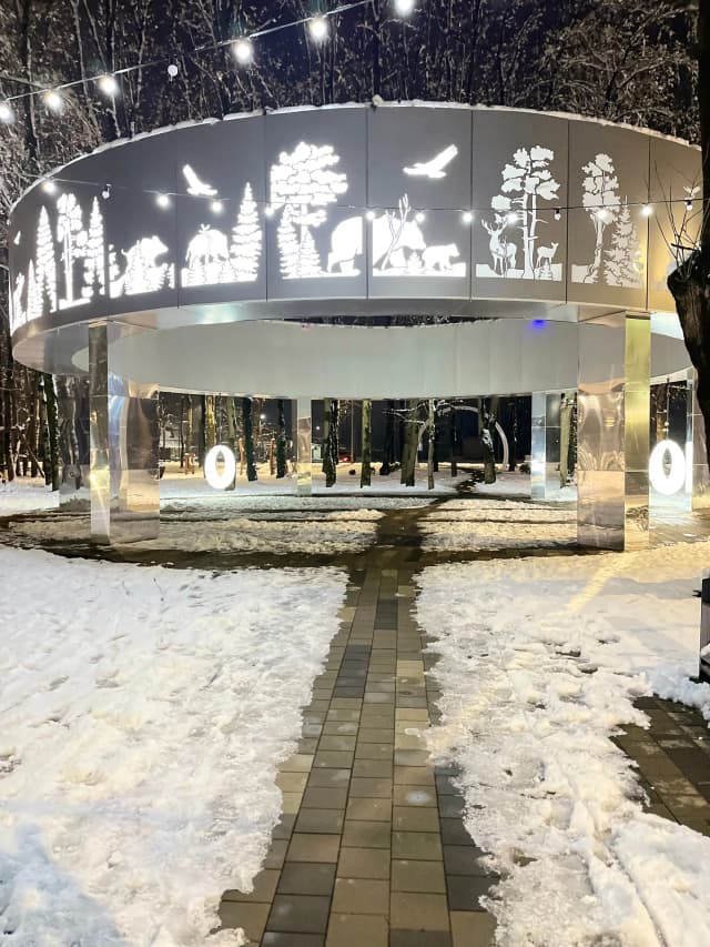 Центральные качели