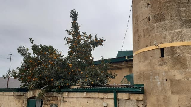 Гауптвахта