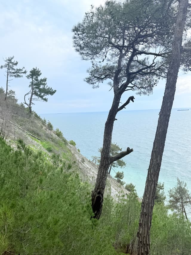Спуск к морю 278 ступеней
