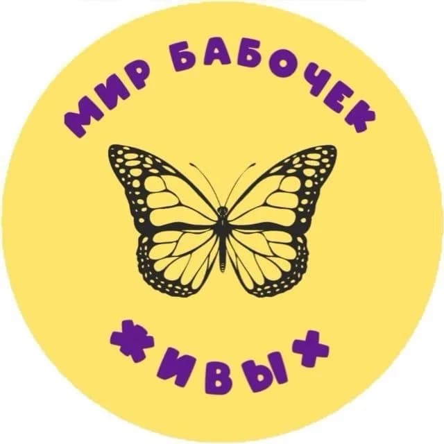 Мир бабочек живых