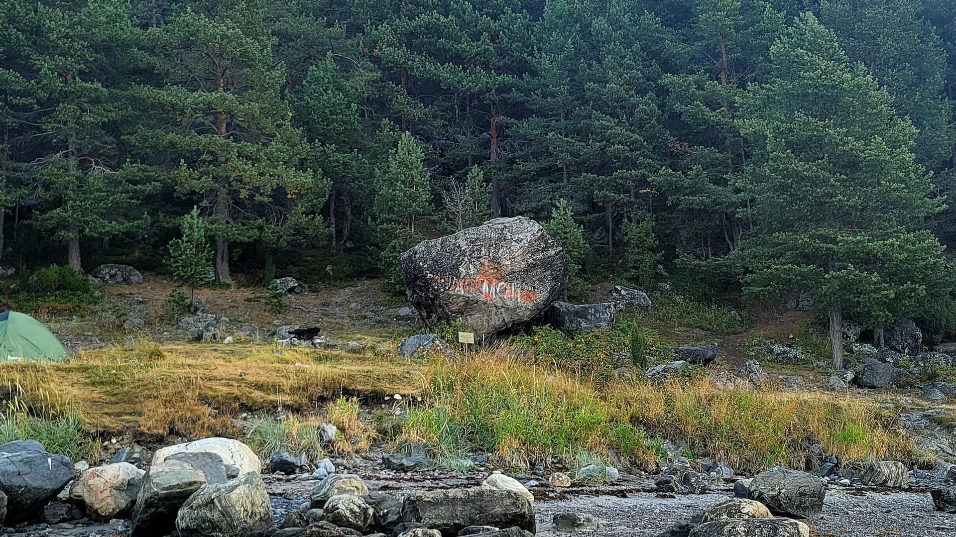 Сейд