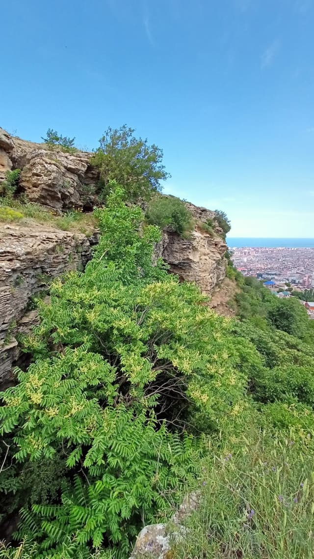 Гора Мыс Сарияр