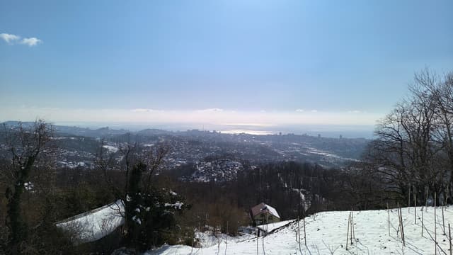 Смотровая площадка