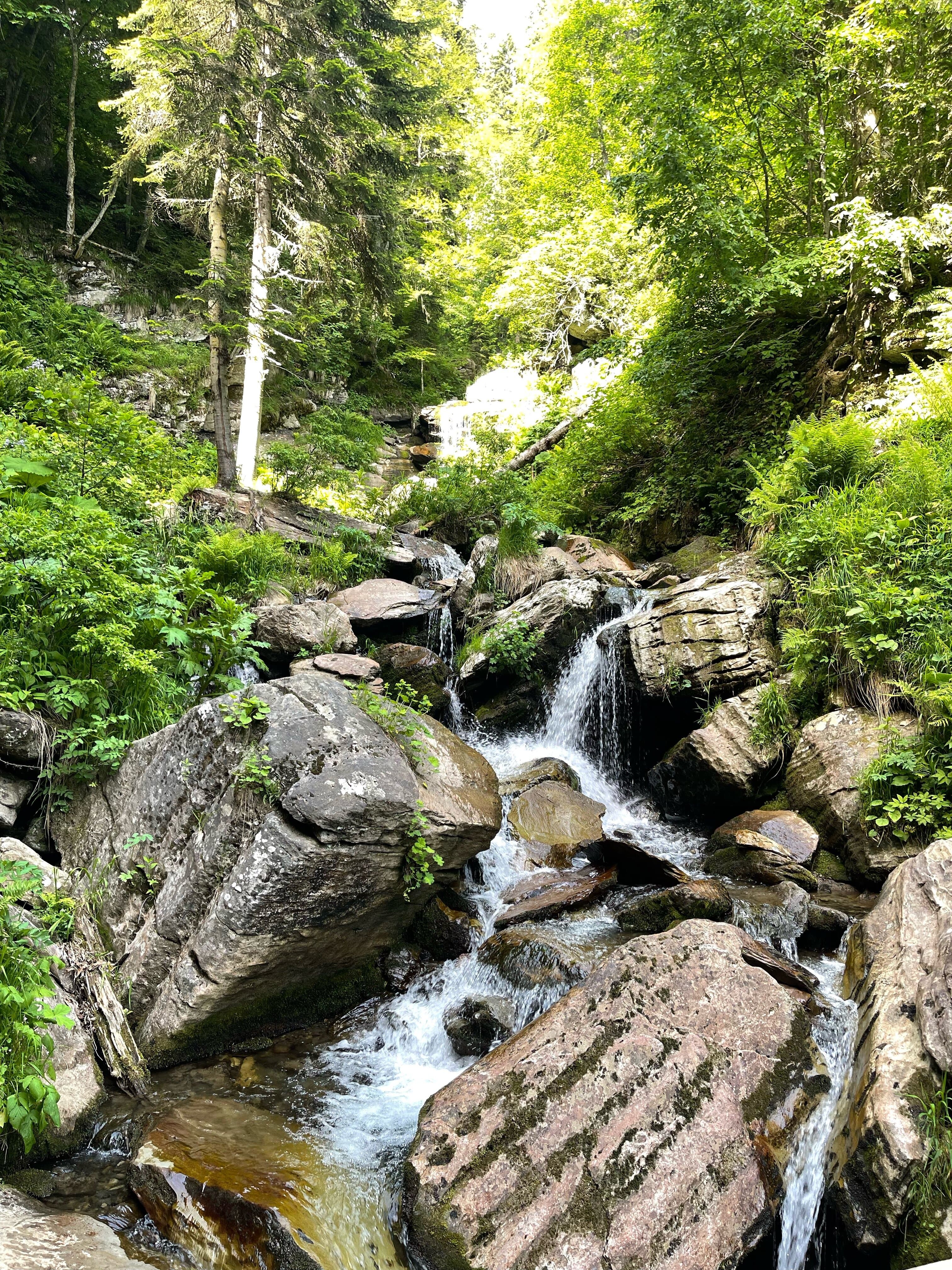 Водопад Менделя