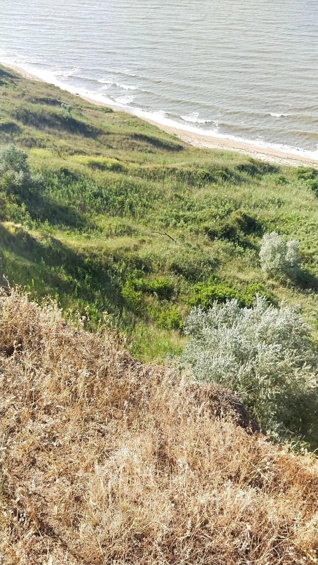 Гора Блевака