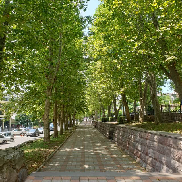Платановая аллея