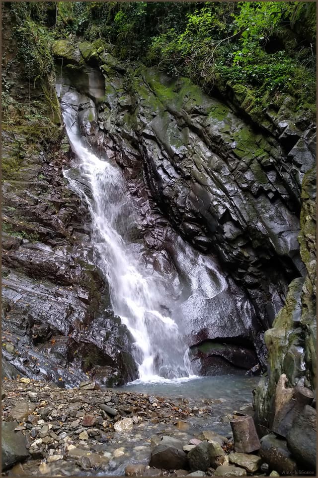 Водолей