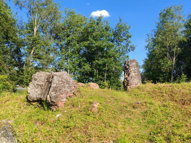 Домны Петровского завода