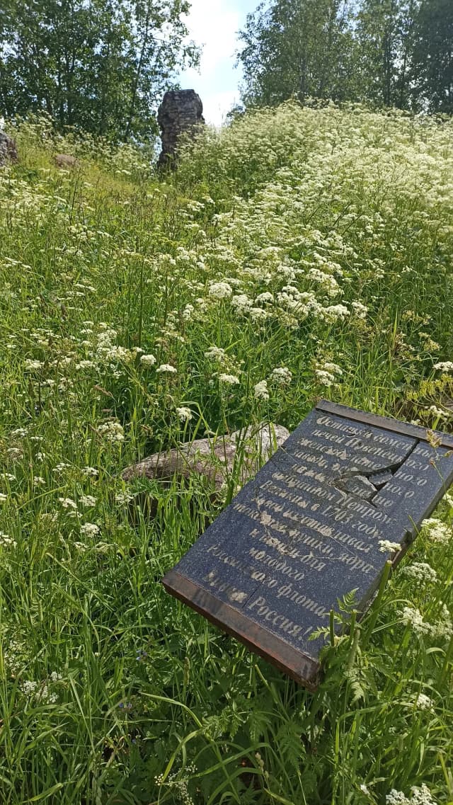Домны Петровского завода