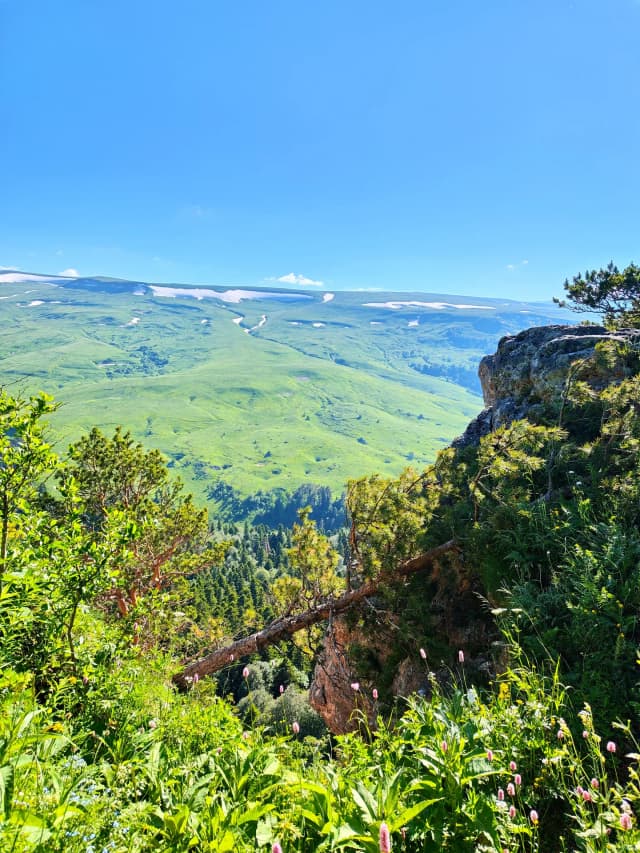 Альпийские луга