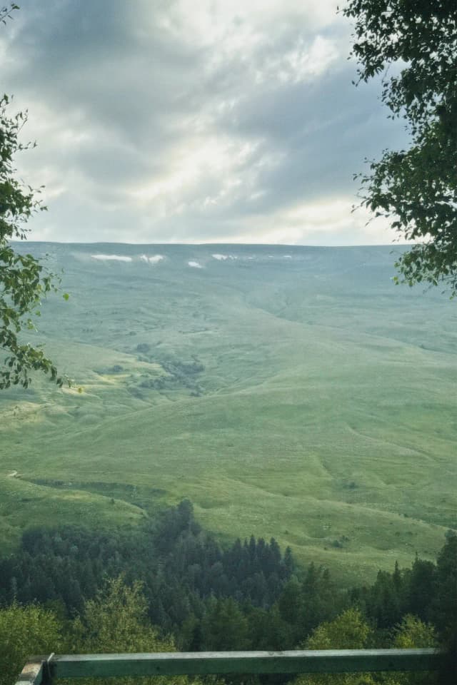 Альпийские луга