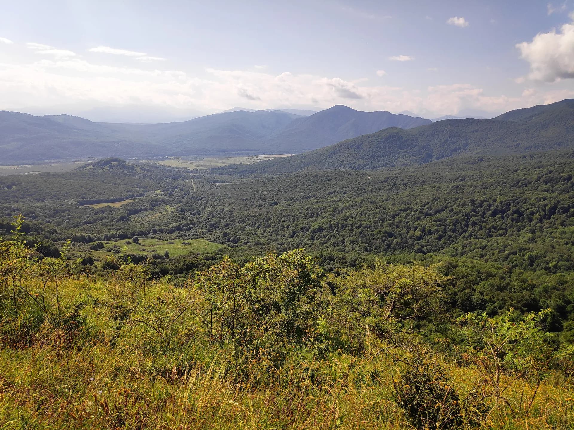 Дегуакская панорама