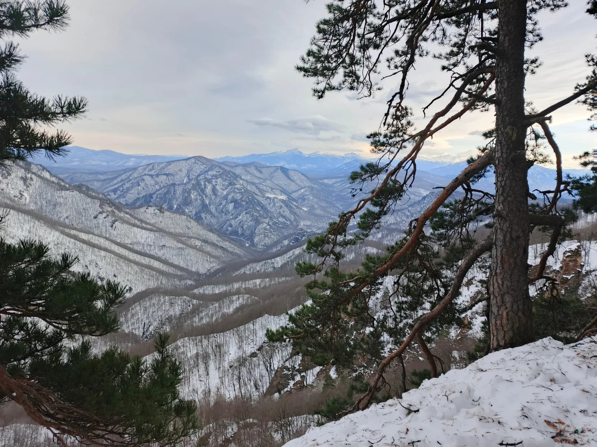 Поляна Длинная