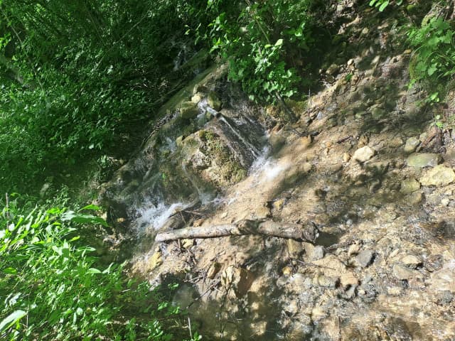 Водопой