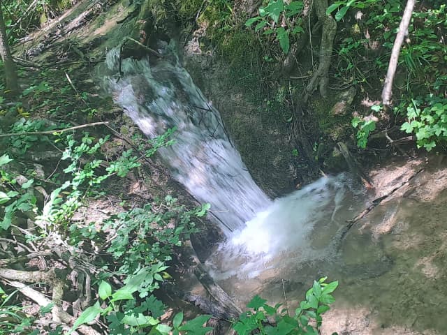 Водопой