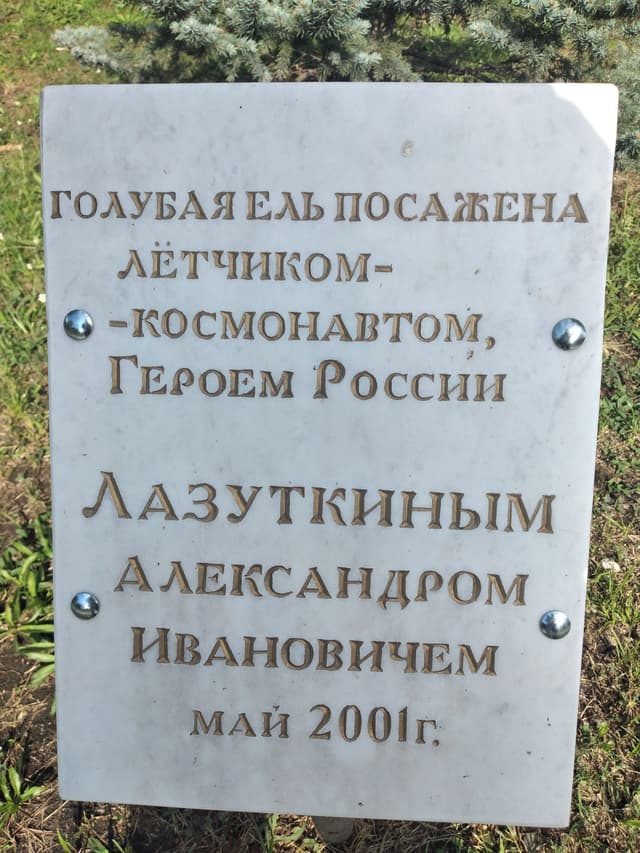 Аллея космонавтов