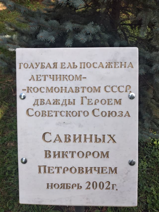 Аллея космонавтов