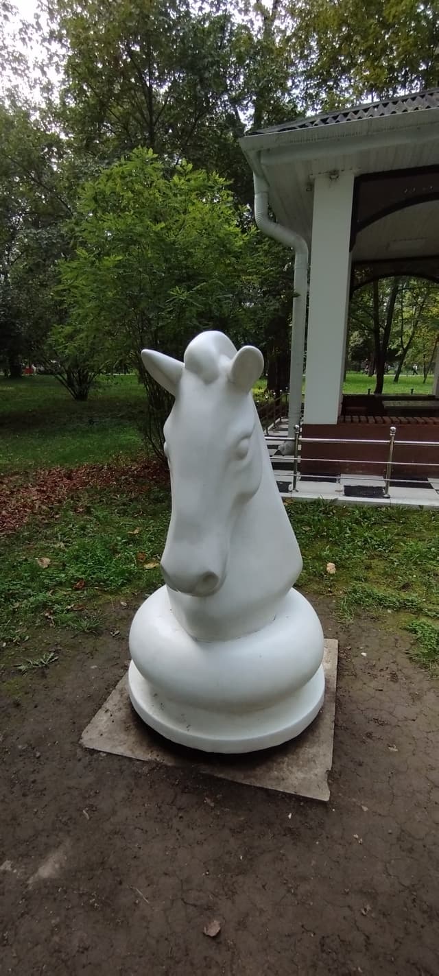 Шахматный домик