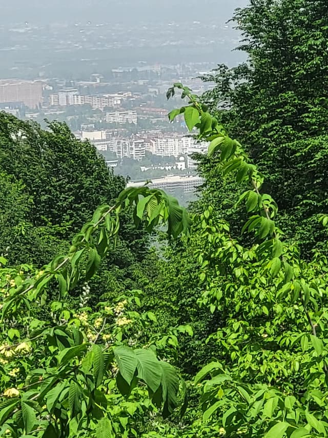 Старая канатка