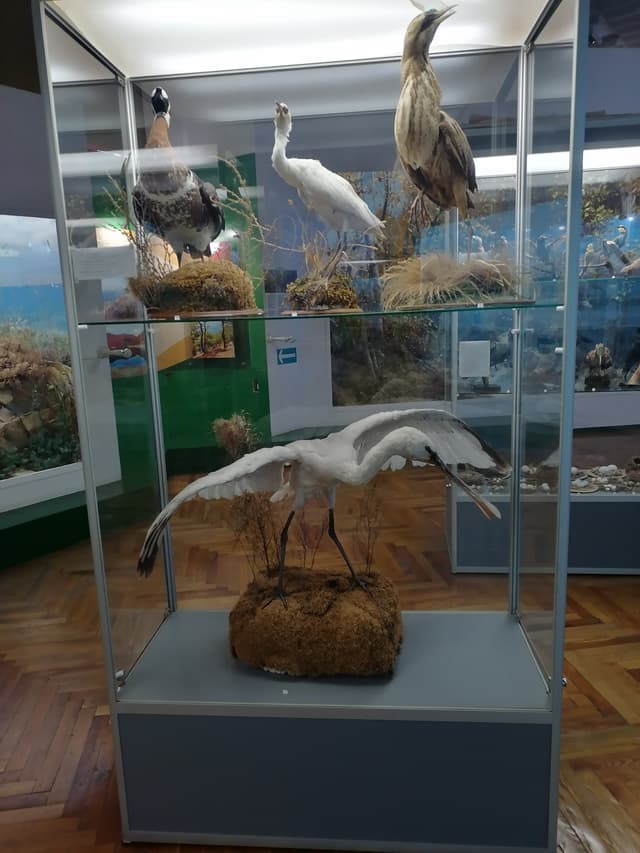 Новороссийский исторический музей-заповедник