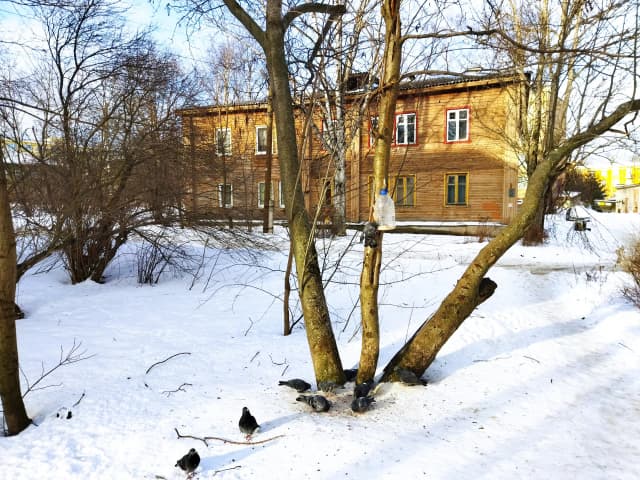Дом Капусткина