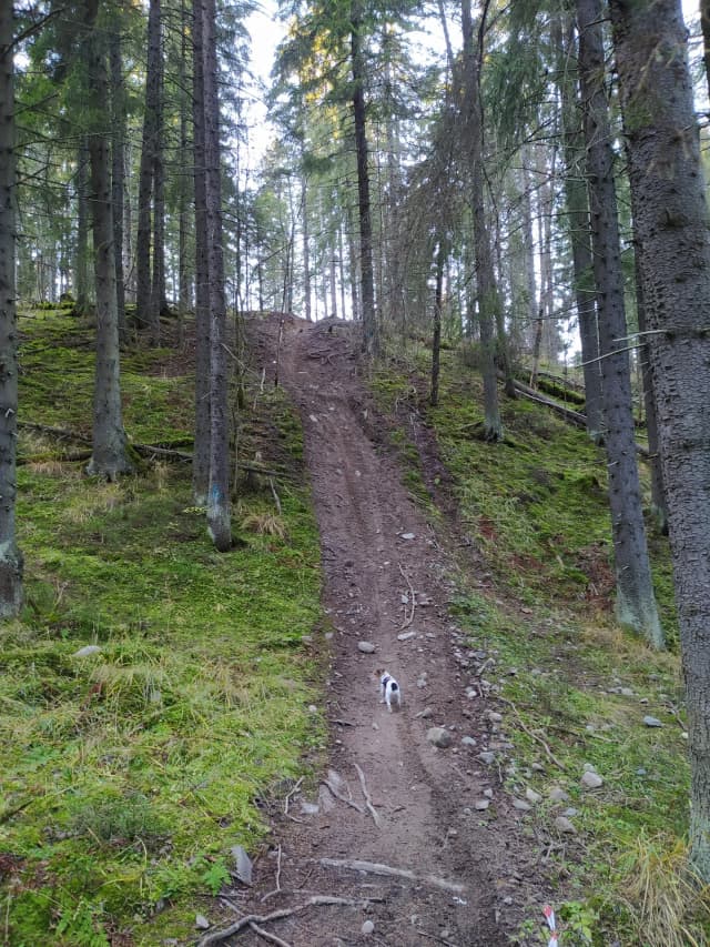 Гора Рыбка
