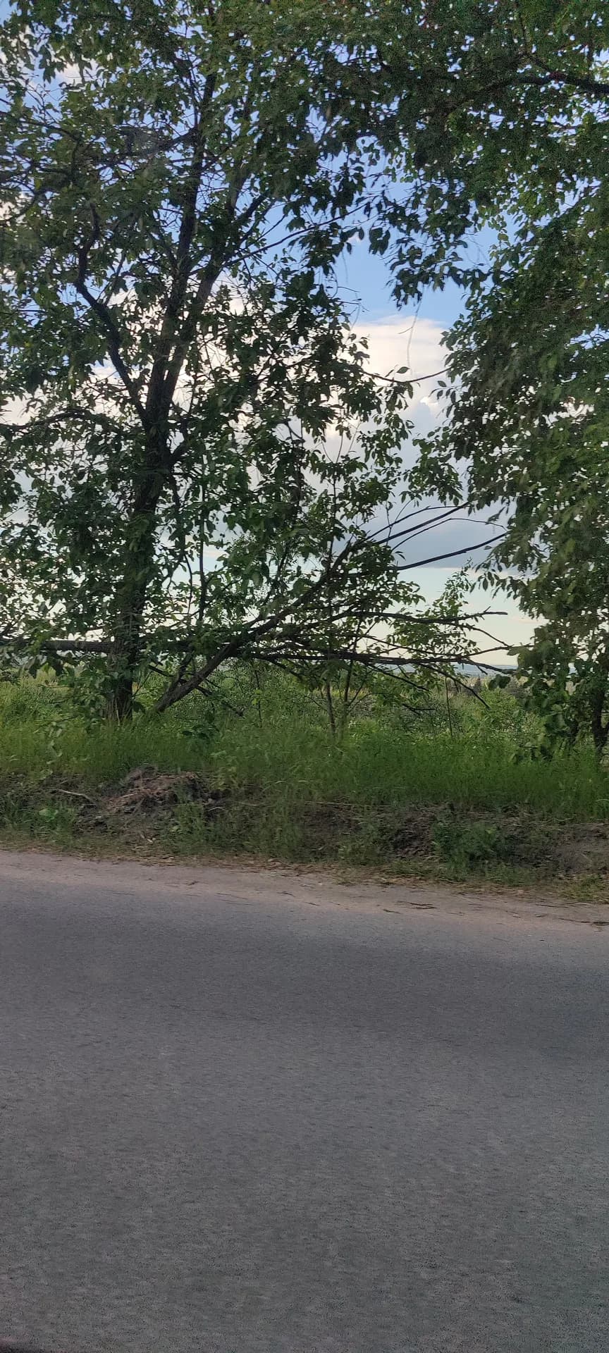 Гора Сулажгора 125 метров