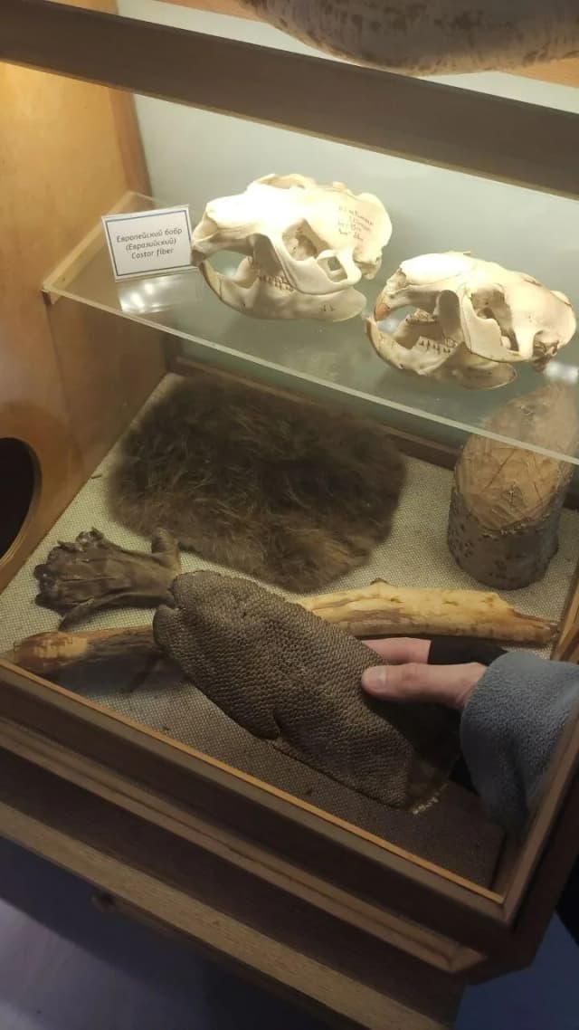 Музей прикладных экологических исследований