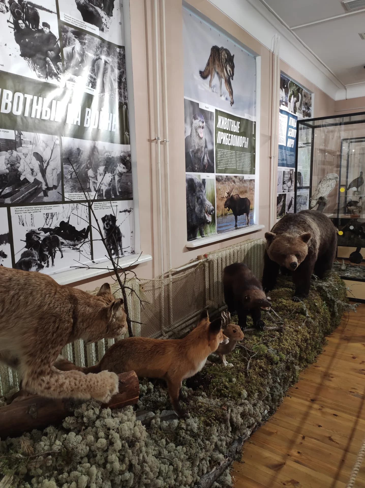 Музей жертв фашизма имени Максимилиана Кольбэ