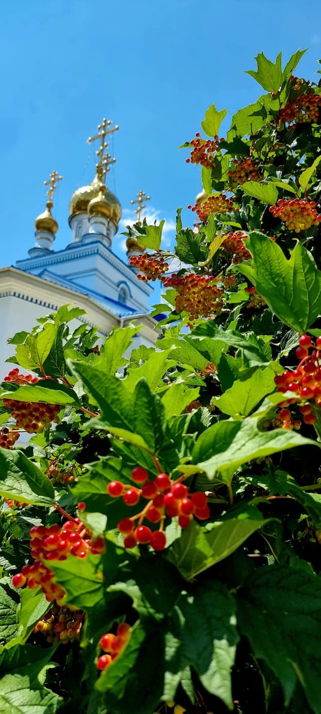 Ансамбль сооружений монастыря во имя Иверской иконы Божией Матери, монастырские кельи