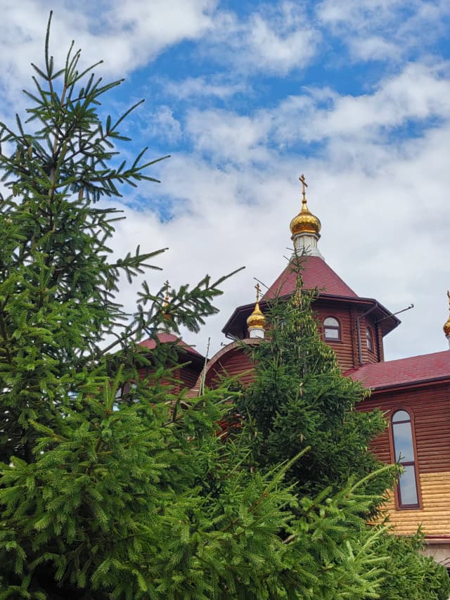 Храм в честь иконы Божией Матери Всех скорбящих Радость