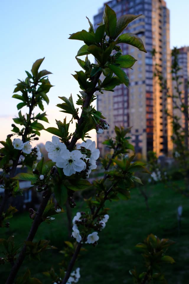 Красный Аксай