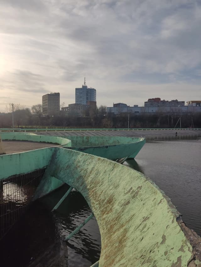 Кувшинка