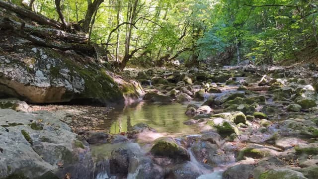 Большой каньон Крыма — панорама