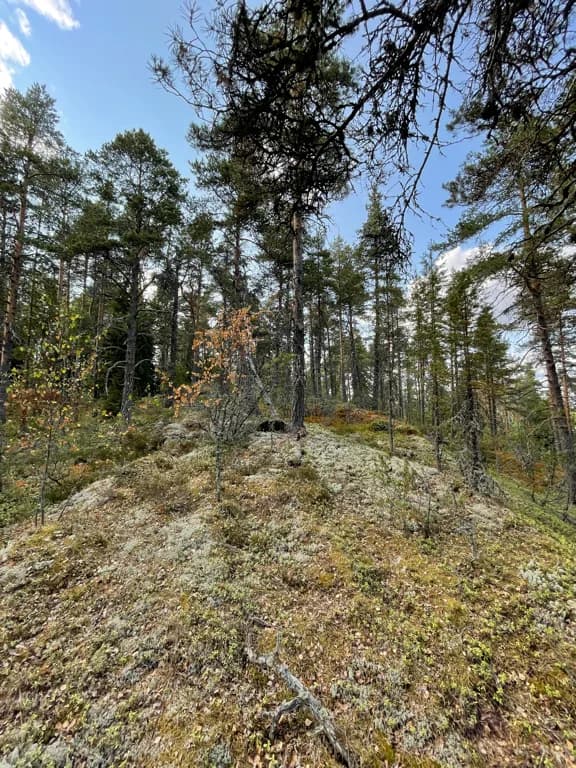 Гора Пуйронмяки 51 метр